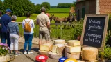 Dans le Hainaut, les fermes ouvrent leurs portes: cap sur Hennuyères et ses fromages primés