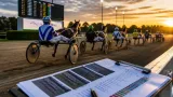 Waregem : aperçu des partants et résultats récents pour le Prix Quatra Belgique