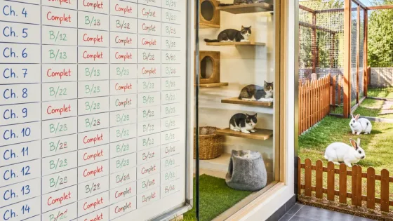 Uccle: l’hôtel animalier Sweetnest pris d’assaut, complet jusqu’à un an d’avance
