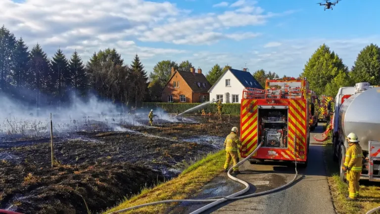 Six hectares partis en fumée à Doische : incendie maîtrisé après une intervention importante